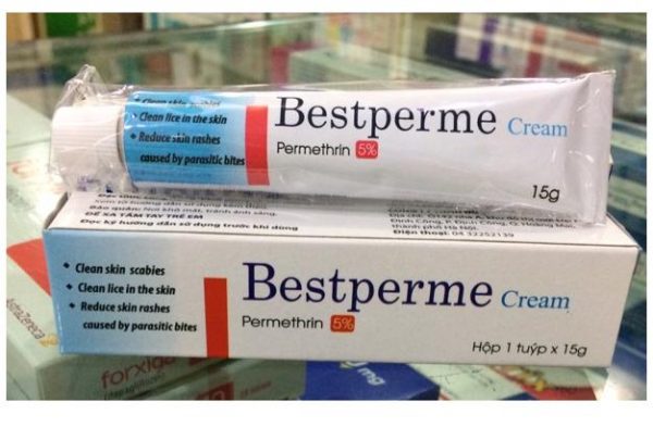 Quy cách đóng gói Bestperme cream 15g Quy cách đóng gói Bestperme cream 15g