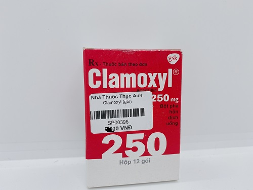 Clamoxyl 250mg - Điều trị nhiễm khuẩn