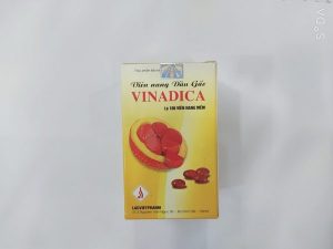 Thuốc Vinadica là thuốc gì?