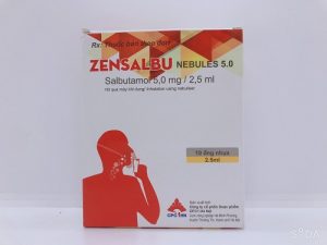 Zensalbu Nebules 5.0 - Điều trị hen cấp tính