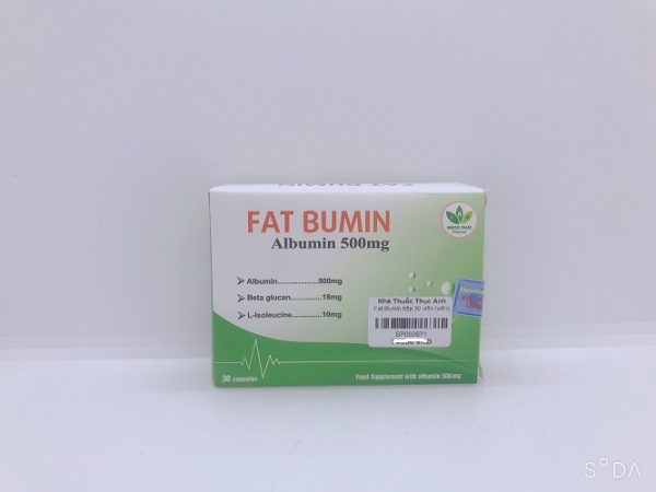 Giới thiệu về Fat Bumin Giới thiệu về Fat Bumin