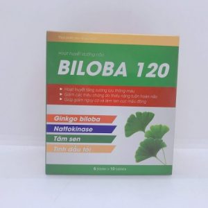 Giới thiệu về Ginkgo Biloba 120 