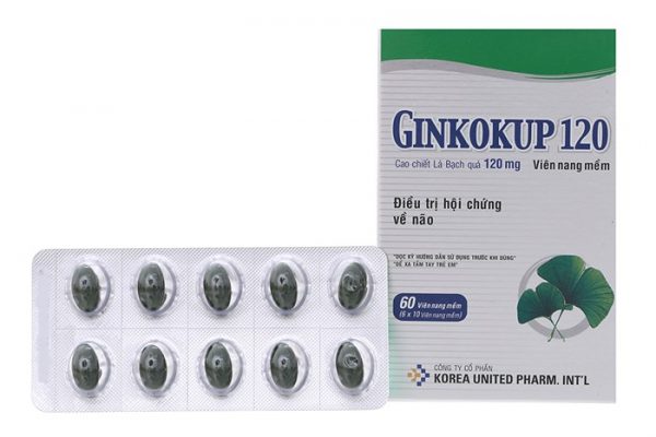 Thuốc Ginkokup 120mg là gì? Thuốc Ginkokup 120mg là gì?