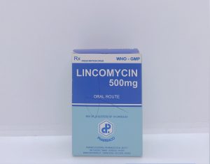 Lincomycin - Kháng sinh điều trị nhiễm khuẩn nặng