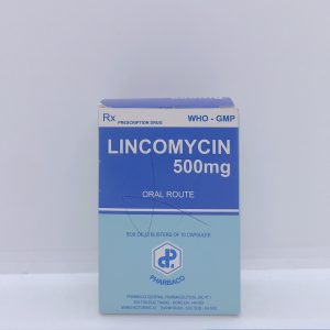 Lincomycin - Kháng sinh điều trị nhiễm khuẩn nặng