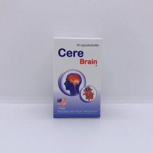 Giới thiệu về Cere Brain