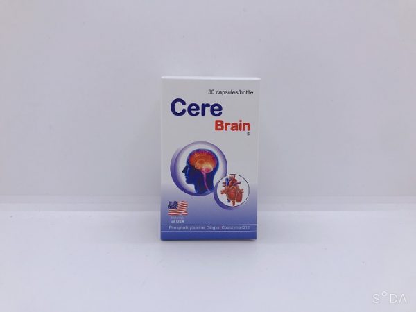 Giới thiệu về Cere Brain Giới thiệu về Cere Brain