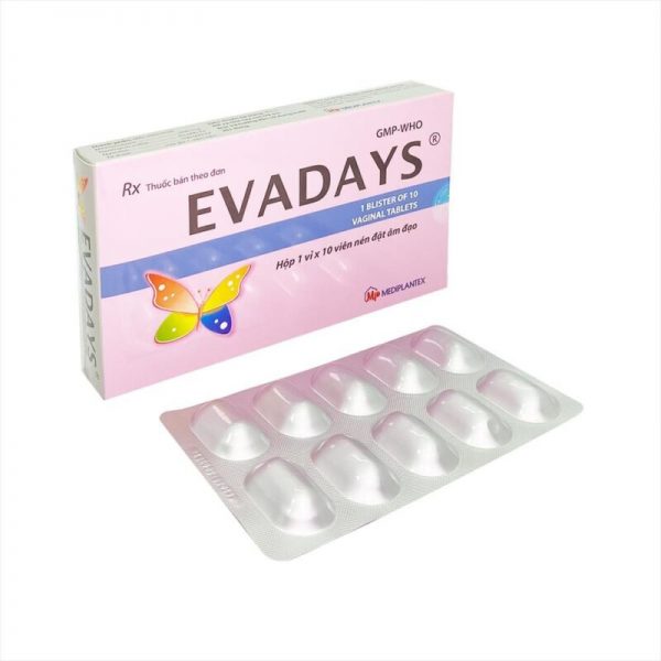 Giới thiệu về EVADAYS Giới thiệu về EVADAYS