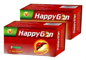 Giới thiệu về Happy Gan