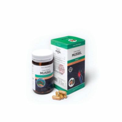 Giới thiệu về MUSSEL Giới thiệu về MUSSEL