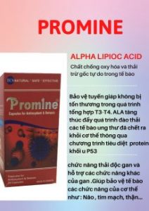 Giới thiệu về Promine