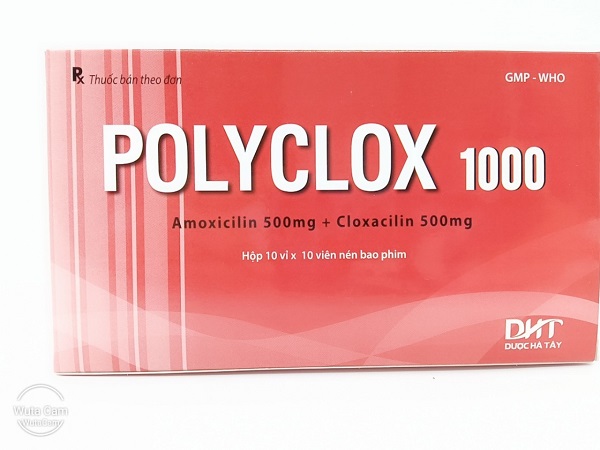 Polyclox-1000 Thuốc Polyclox 1000mg là thuốc gì?