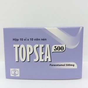TOPSEA 500