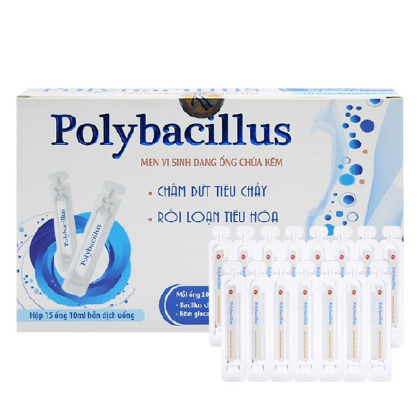 dgm_nttt_polybacillus Thuốc Polybacilus là thuốc gì?