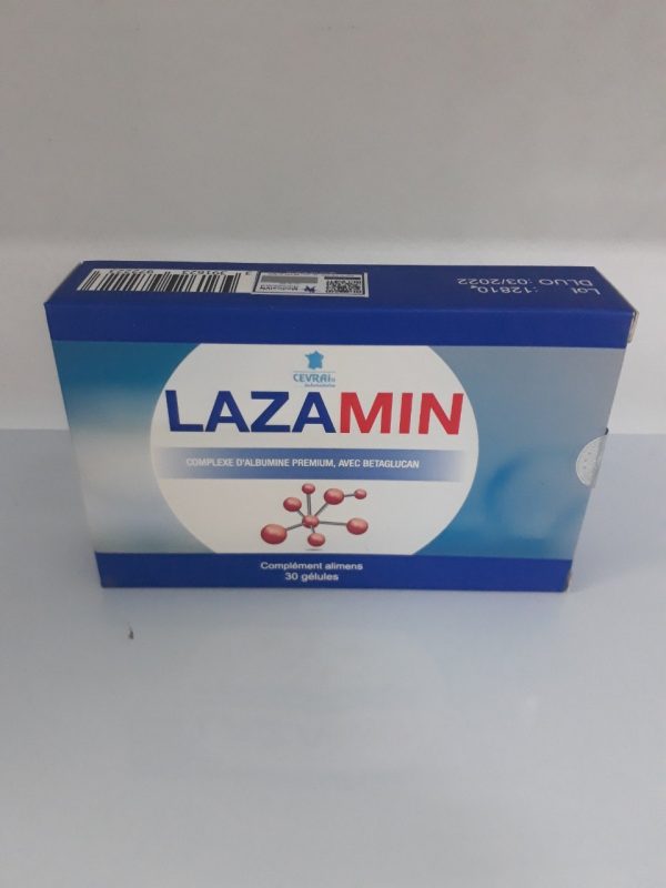 lazamin_19727ed33fe04e27bca0733dd7106276