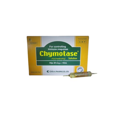 Thuốc Chymotase solution - Hỗ trợ điều trị đường hô hấp
