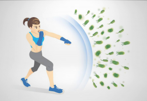 Công dụng của Safbeta