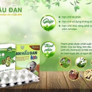 Thuốc An Hầu Đan Nanofrance là thuốc gì ?