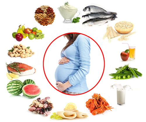 Thành phần của Blood Fer 2 Thành phần của Blood Fer 2