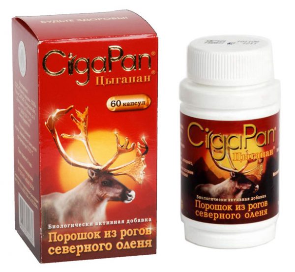 Giới thiệu về Cigapan Giới thiệu về Cigapan