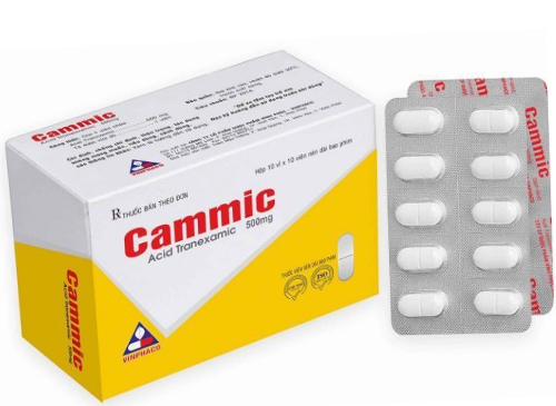 Cammic 500mg
