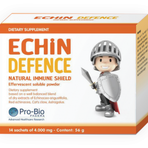 Giới thiệu về Echin Defence