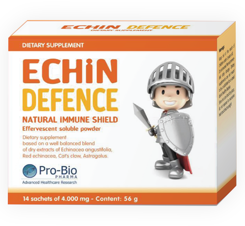 Giới thiệu về Echin Defence Giới thiệu về Echin Defence