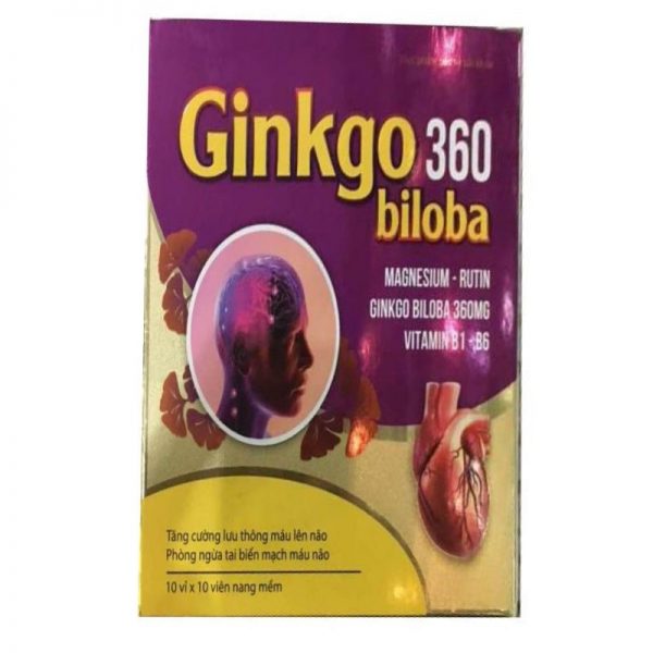 Ginkgo Biloba 360mg Magnesium