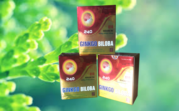 Ginkgo biloba Magie B6-Q10 240 Ginkgo biloba Magie B6-Q10 240