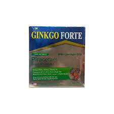 Ginkgo Forte With Coenzym Q10
