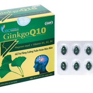 Quy cách đóng gói Ginkgo Q10 