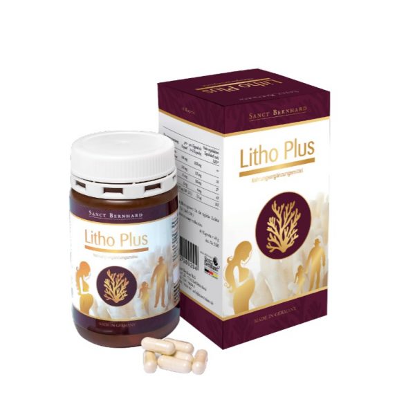 Giới thiệu về Litho plus Giới thiệu về Litho plus