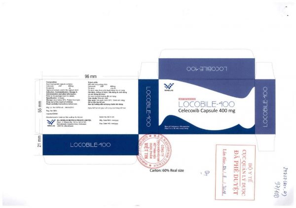Quy cách đóng gói Thuốc Locobile-400 Quy cách đóng gói Thuốc Locobile-400
