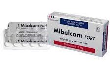 Thông tin sản phẩm thuốc Mibelcam Fort