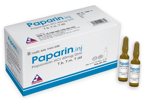 Giới thiệu về Paparin 40mg Hộp 10 ống Giới thiệu về Paparin 40mg Hộp 10 ống