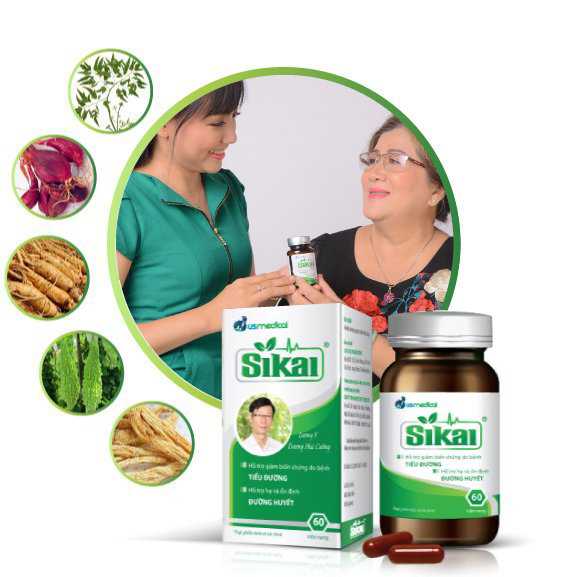 Thành phần của Sikai Thành phần của Sikai