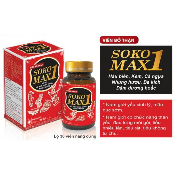 Giới thiệu về Soko Max Giới thiệu về Soko Max