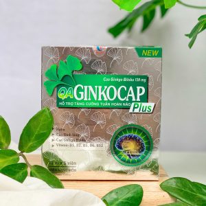 Thuốc Qa Ginkocap Plus - Tăng cường tuần hoàn não
