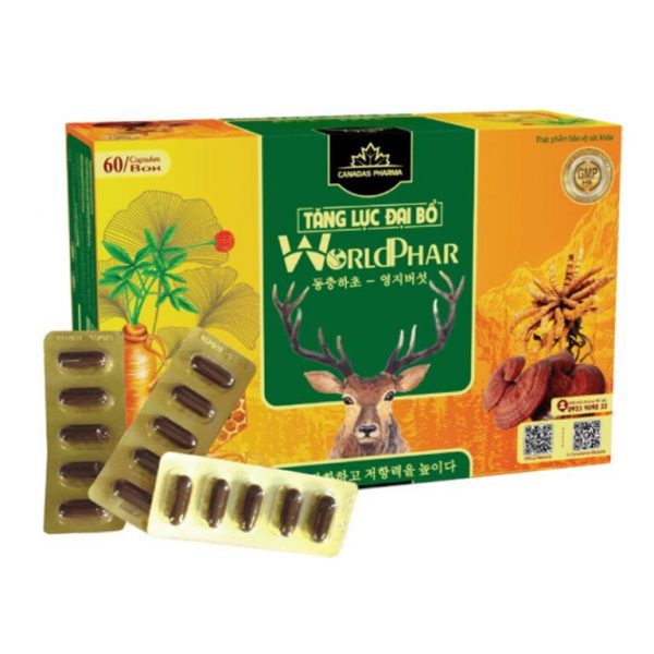 Tang-Luc-Dai-Bo-Hop-60-Vien-Tang-Suc-De-Khang-Co-The-768x768