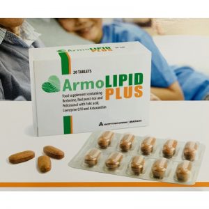 Quy cách đóng gói Thuốc Armolipid Plus Hộp 20 Viên