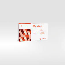 Giới thiệu về Vastad 