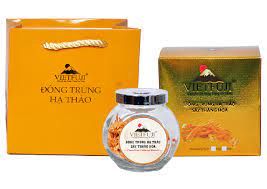 VietFuji – Nước đông trùng hạ thảo