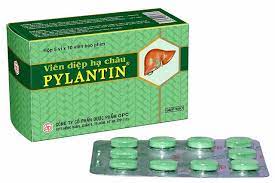Quy cách đóng gói Thuốc Viên diệp hạ châu Pylantin 