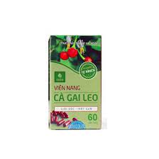 Viên Nang Cà Gai Leo Hộp (60 Viên) là thuốc gì ?