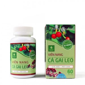 Quy cách đóng gói thuốc Viên Nang Cà Gai Leo Hộp (60 Viên) 