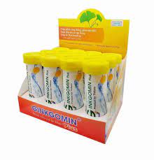 Viên sủi bổ não GINKGOMIN PLUS (tuýp 10 viên) là thuốc gì ?