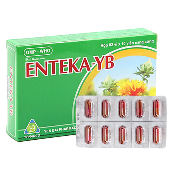 dgm_nttt_enteka-yb dgm_nttt_enteka-yb