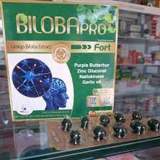 Quy cách đóng gói của thuốc BilobaPro Gold Hộp 100 Viên 