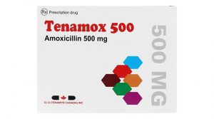 Thuốc Tenamox 500mg là thuốc gì?