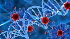 Công dụng của Thuốc Exfast